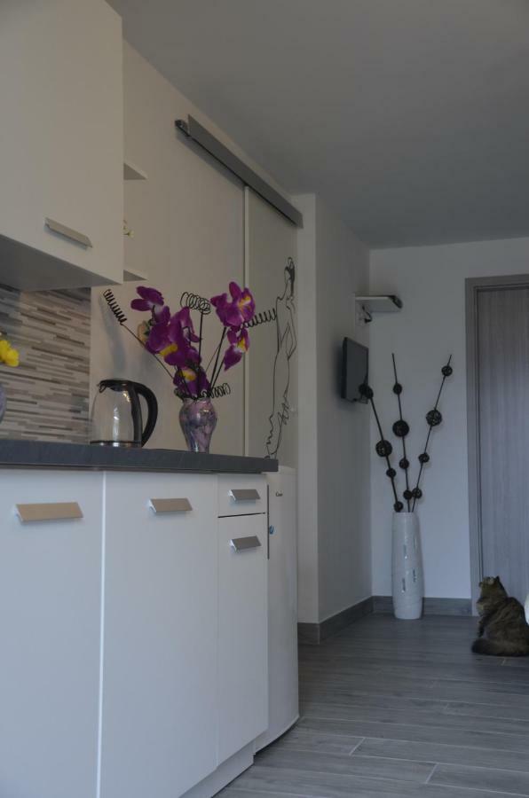 Apartments Lilly - Studio Рийека Екстериор снимка